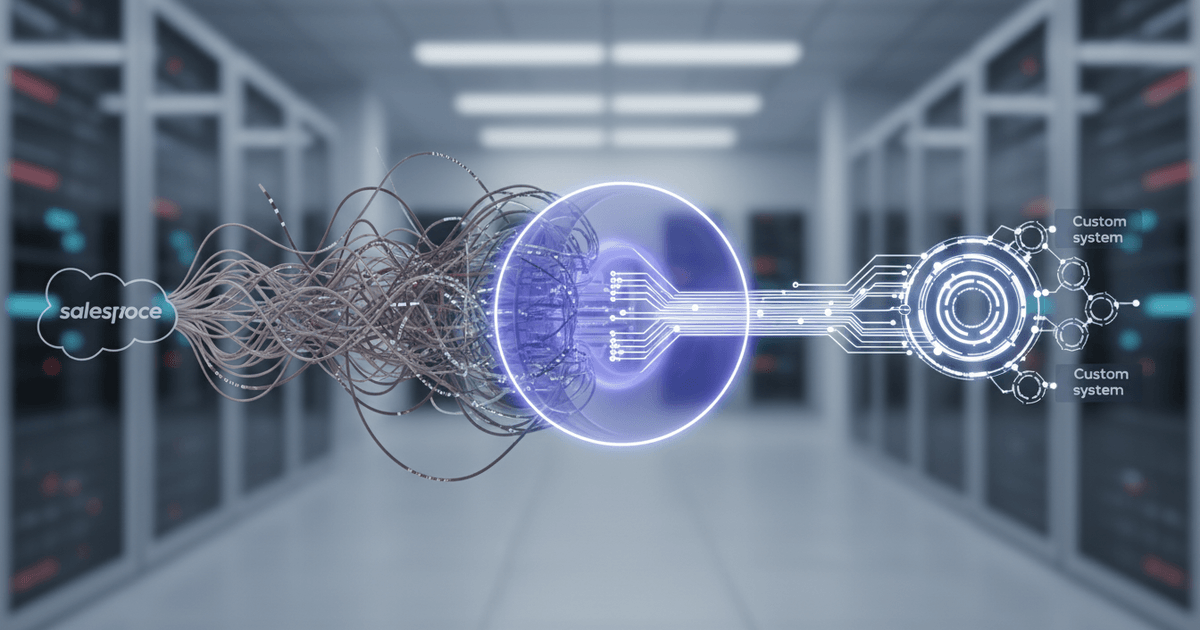 illustration of data cleaning and deduplication process during CRM data migration from Salesforce to custom system with interconnected data nodes
